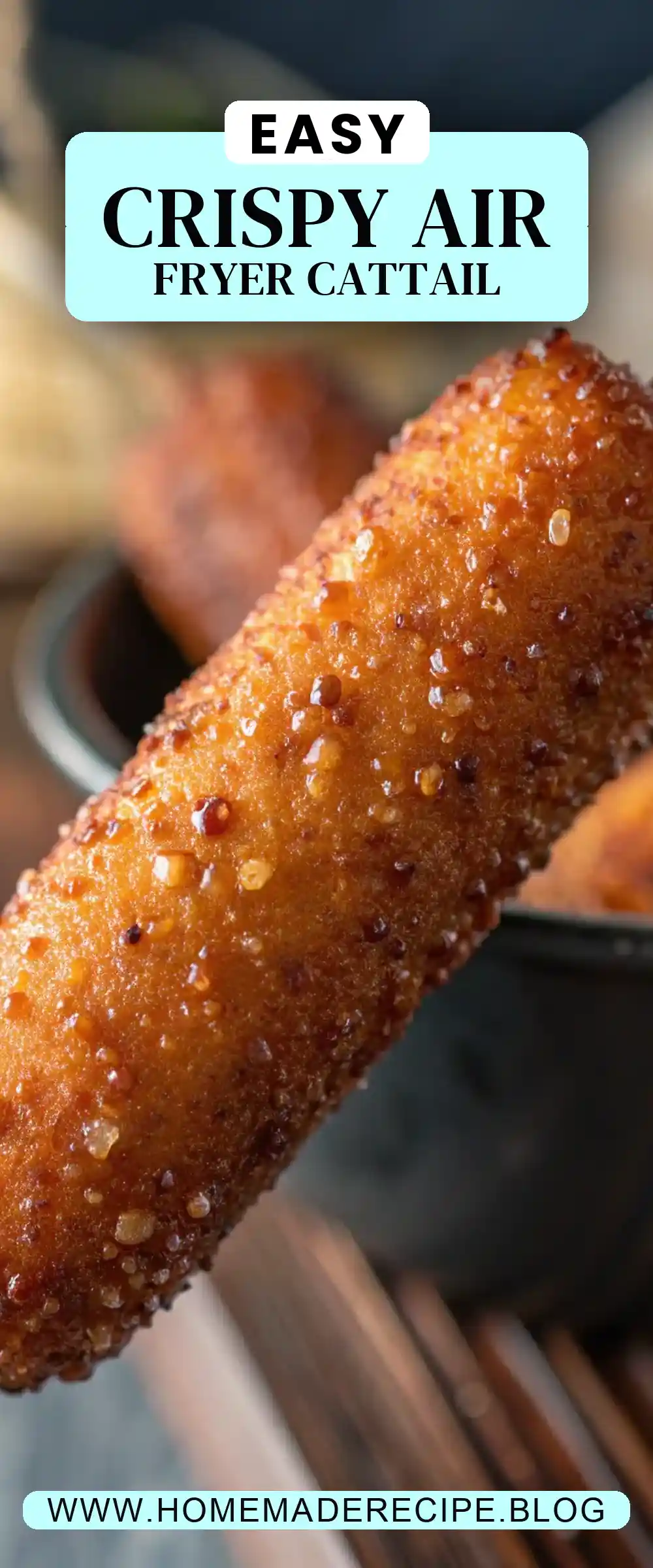 Pinterest pin 2 (Design 2) for Air Fryer Cattail