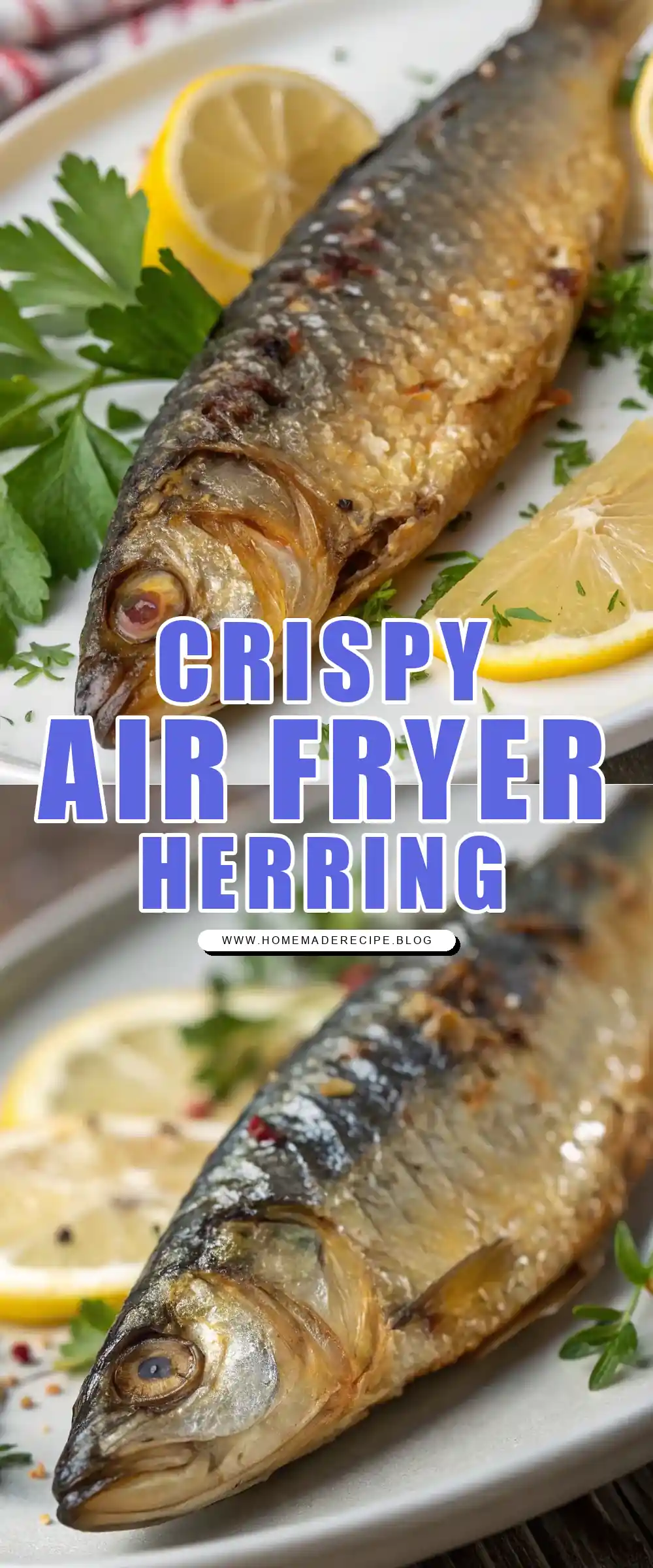 Pinterest pin 1 (Design 1) for Air Fryer Herring