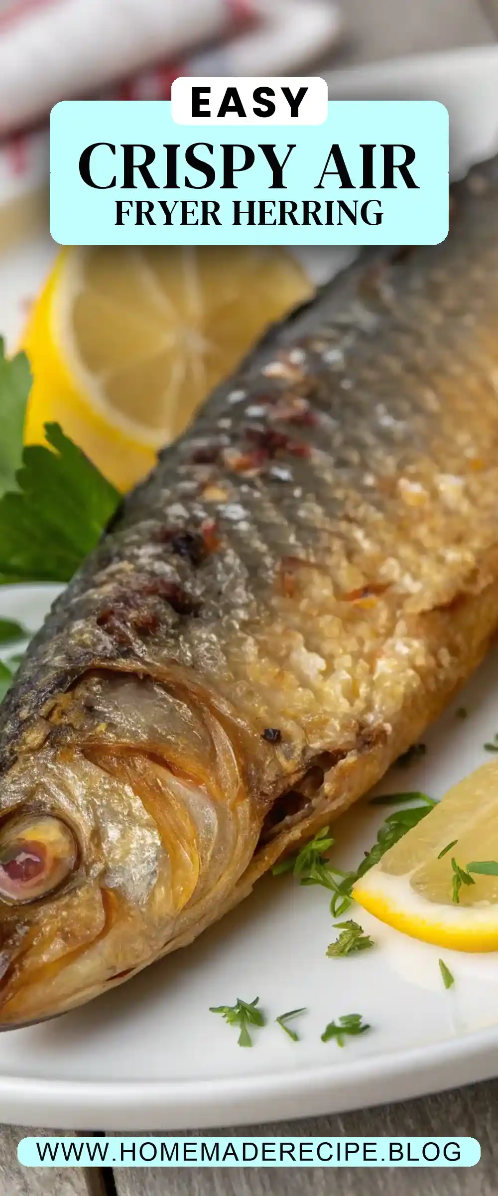 Pinterest pin 2 (Design 2) for Air Fryer Herring