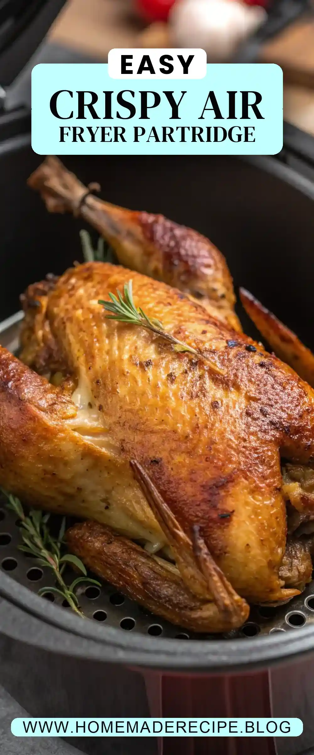 Pinterest pin 2 (Design 2) for Air Fryer Partridge