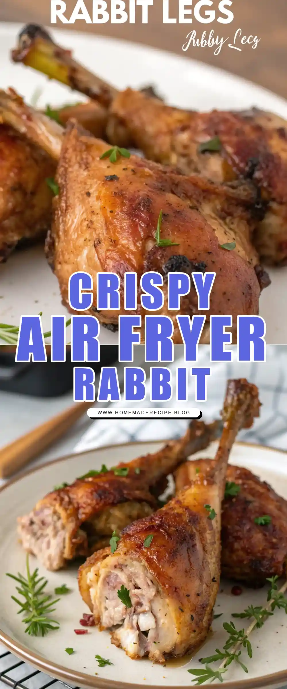 Pinterest pin 1 (Design 1) for Air Fryer Rabbit Legs