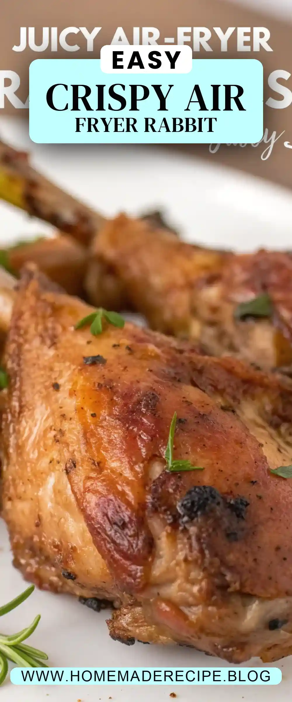 Pinterest pin 2 (Design 2) for Air Fryer Rabbit Legs