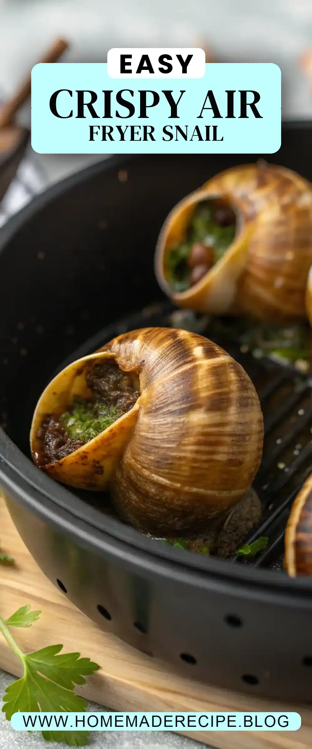 Pinterest pin 2 (Design 2) for Air Fryer Snail