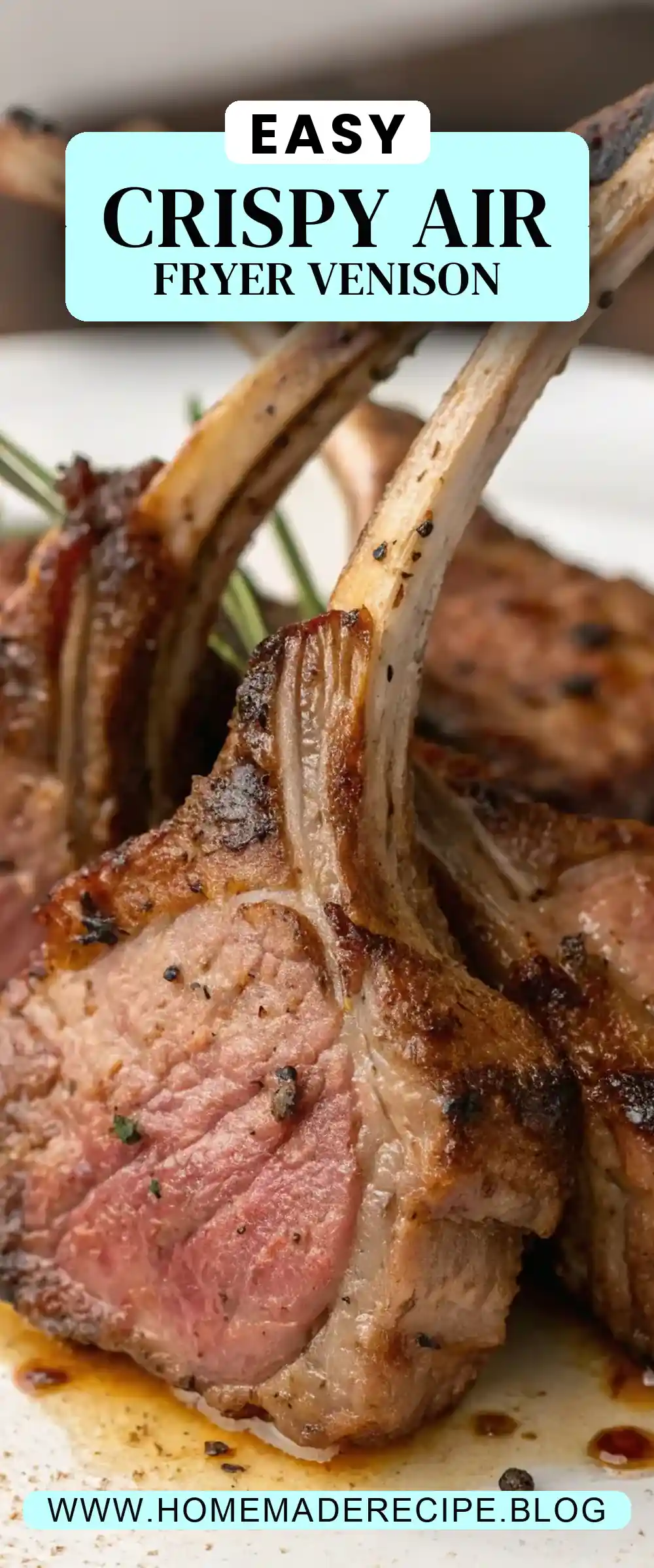 Pinterest pin 2 (Design 2) for Air Fryer Venison Chops