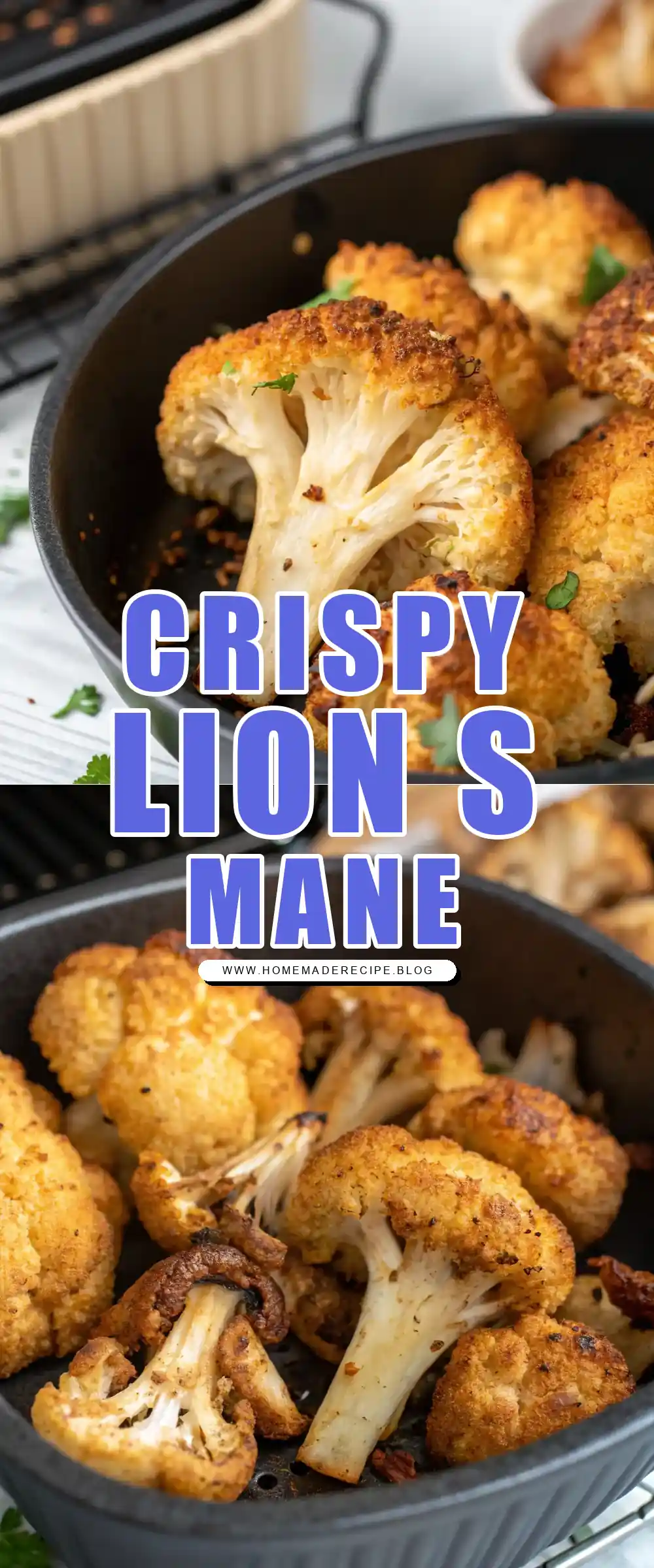 Pinterest pin 1 (Design 1) for Air Fryer Lion's Mane