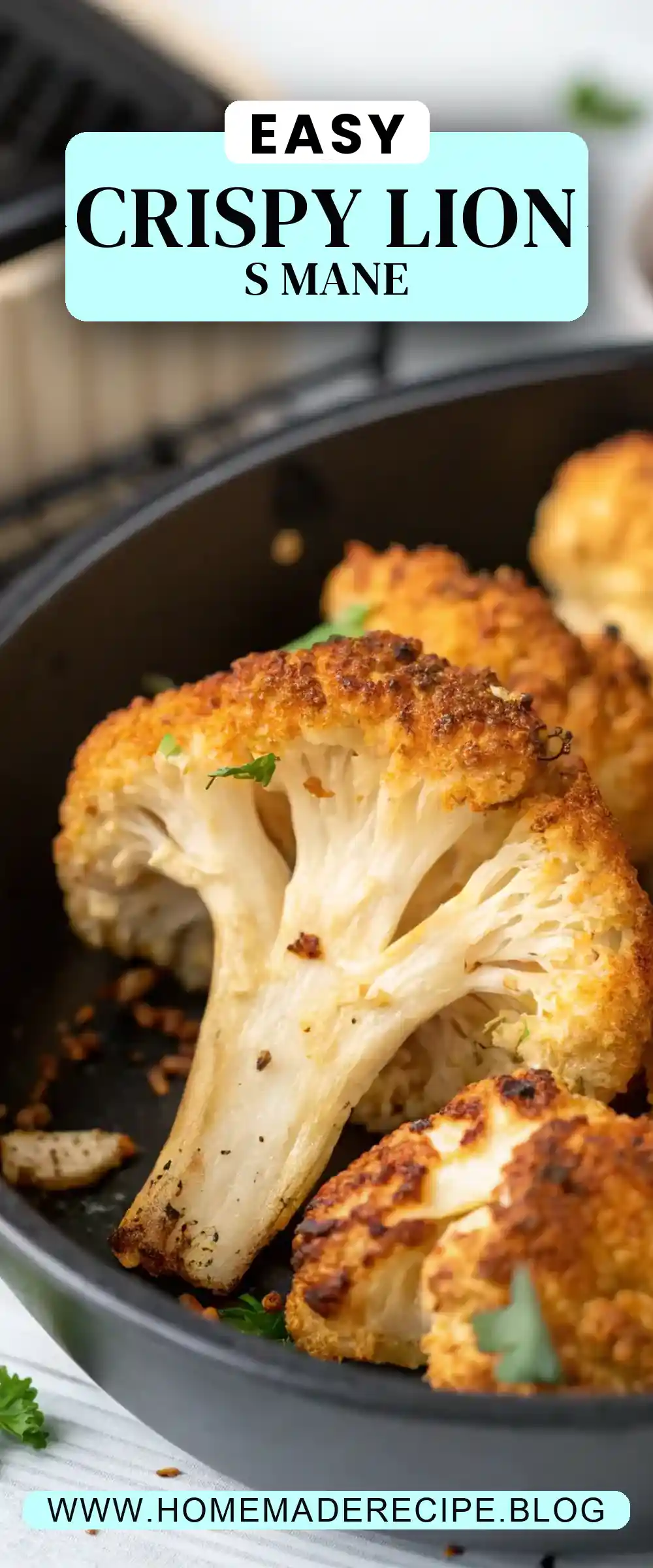 Pinterest pin 2 (Design 2) for Air Fryer Lion's Mane