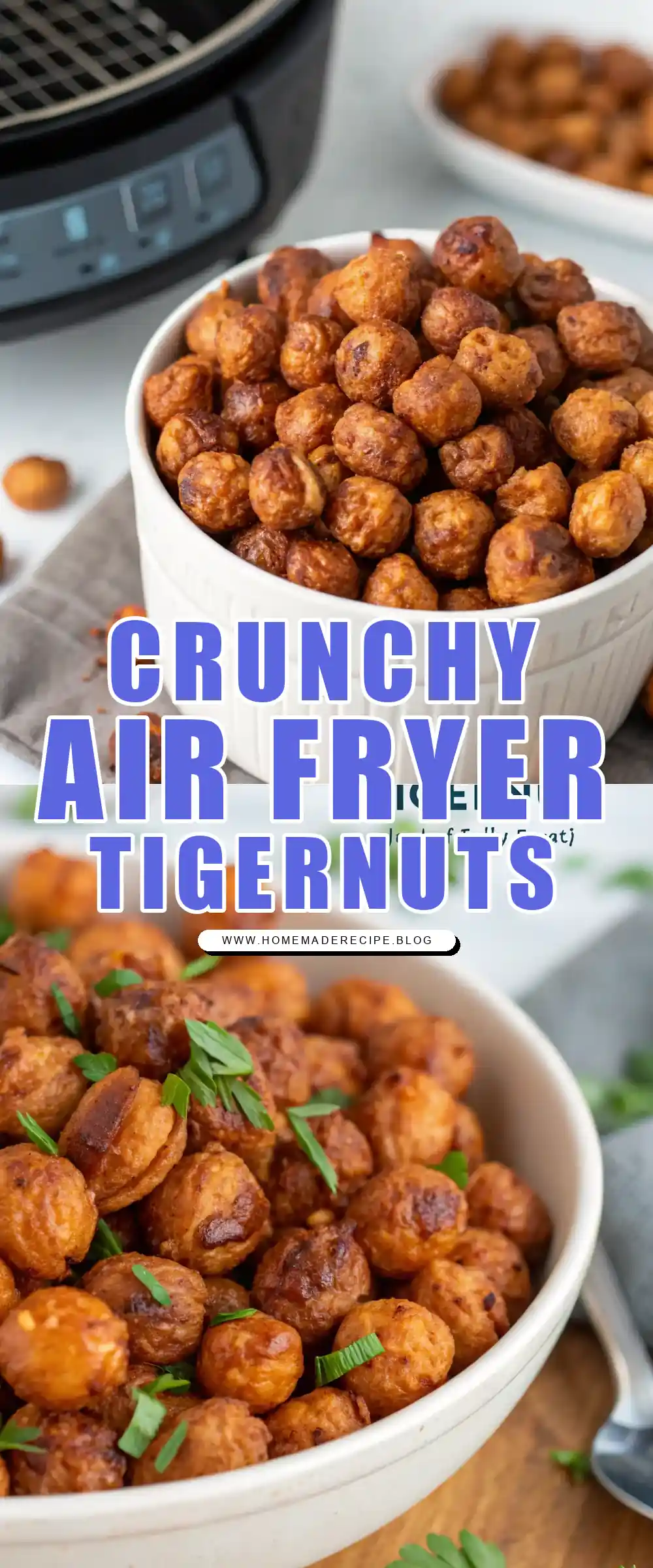 Pinterest pin 1 (Design 1) for Air Fryer Tigernut