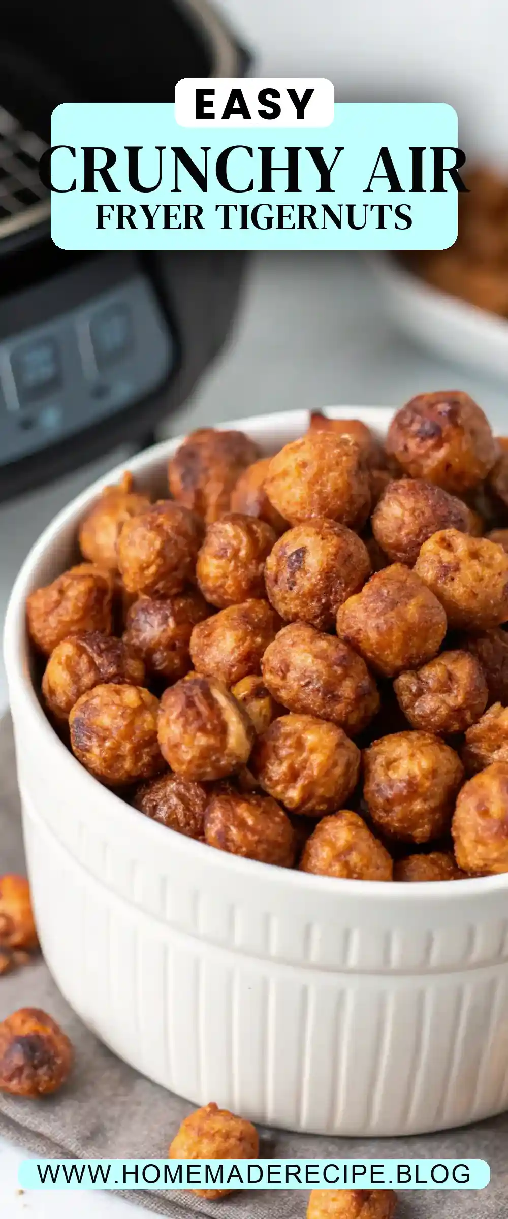 Pinterest pin 2 (Design 2) for Air Fryer Tigernut