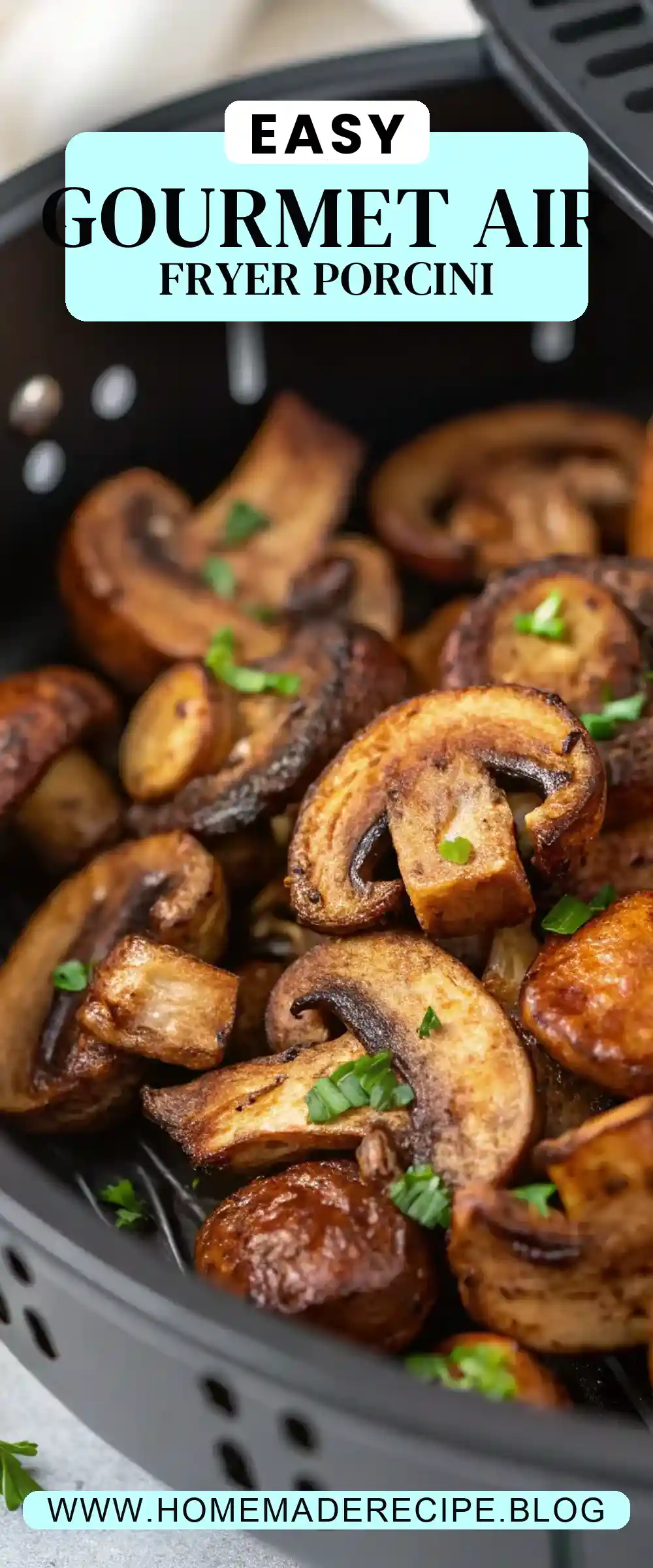 Pinterest pin 2 (Design 2) for Air Fryer Porcini