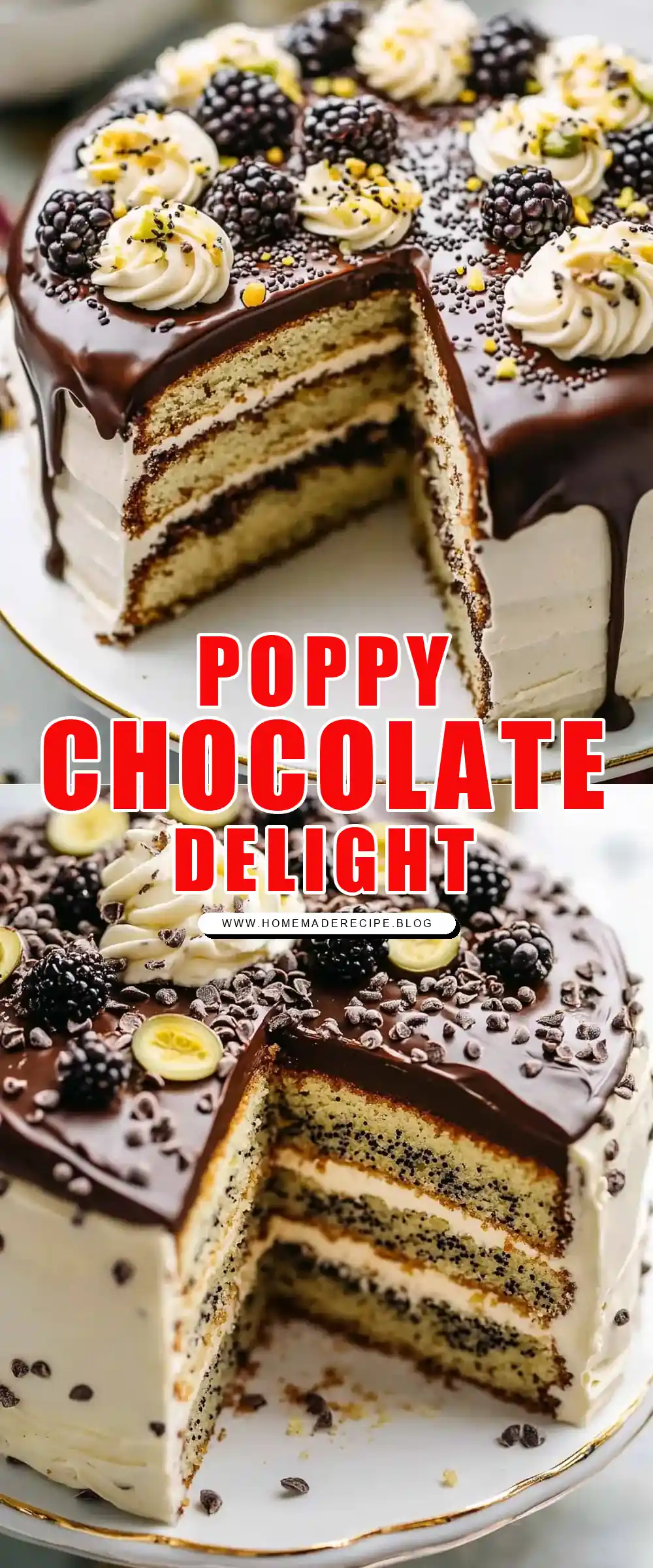 Pinterest pin (Design 1) for Poppy Seed Cake with Chocolate Ganache