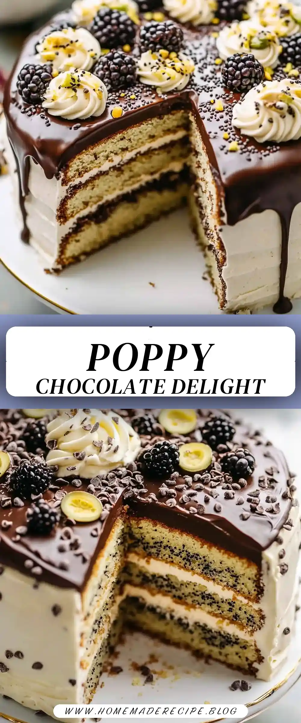 Pinterest pin (Design 3) for Poppy Seed Cake with Chocolate Ganache