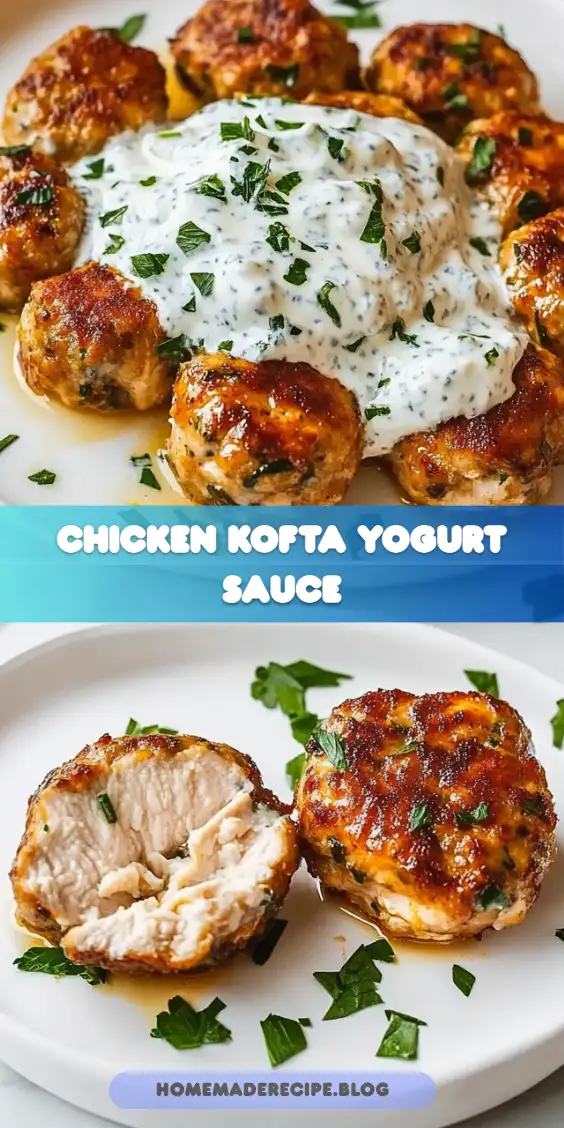 Chicken Kofta Garlic Yogurt Sauce